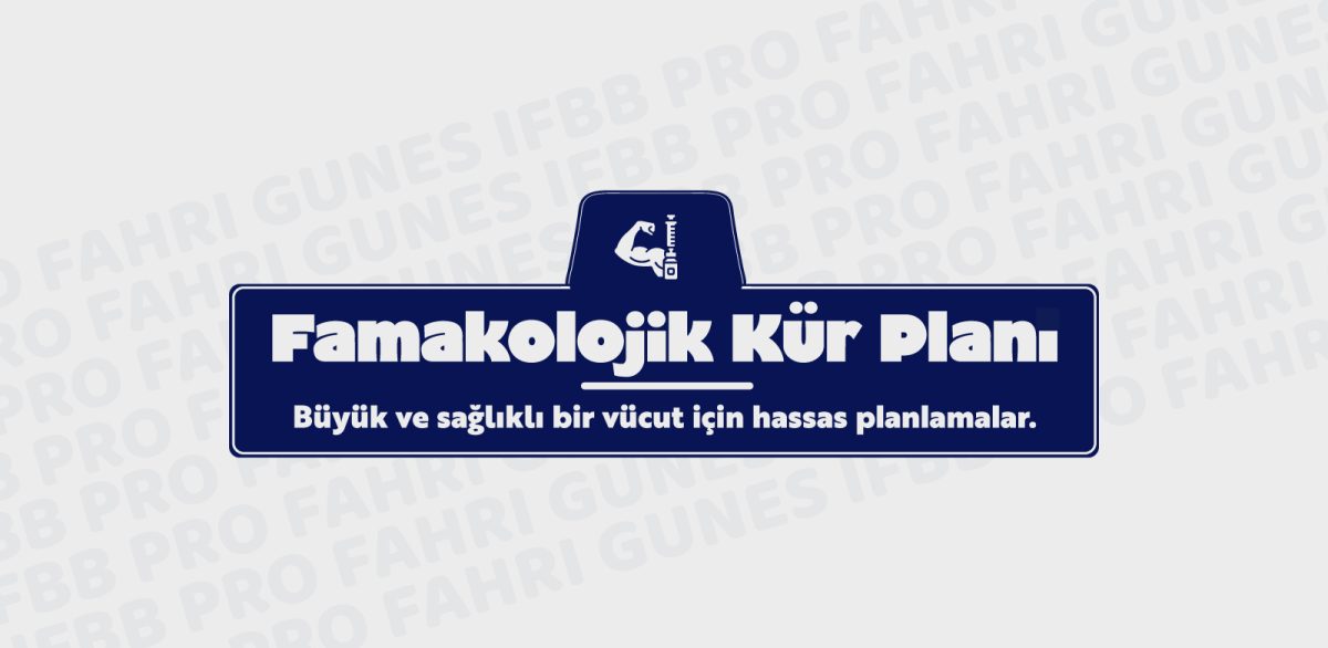 3 Aylık Yarışma Hazırlığı